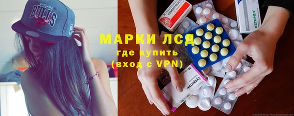 ПСИЛОЦИБИНОВЫЕ ГРИБЫ Туринск