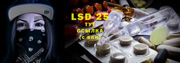ПСИЛОЦИБИНОВЫЕ ГРИБЫ Туринск