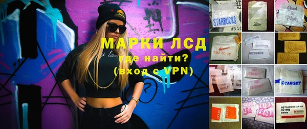 ПСИЛОЦИБИНОВЫЕ ГРИБЫ Туринск