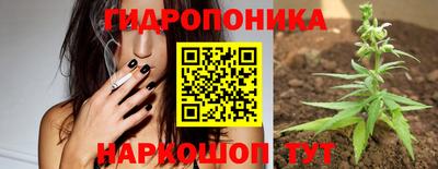 jwh Гусь-Хрустальный
