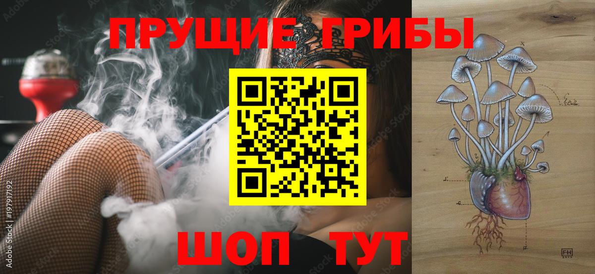 Псилоцибиновые грибы мицелий Таганрог