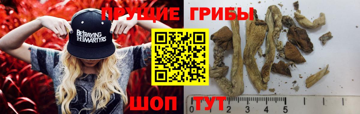 Псилоцибиновые грибы MAGIC MUSHROOMS Таганрог
